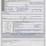 Passport Renewal Form Ds 11 Printable Form 2022