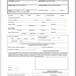 South African Passport Renewal Form Bi 529 Printable Form 2022