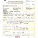 South African Passport Renewal Form Bi 73 Printable Form 2022