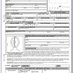 Sri Lankan High Commission Passport Application Form Printable Form 2022