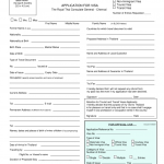 Tailand Visa Form Fill Online Printable Fillable Blank PdfFiller