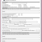 Travel state gov Passport Forms Form Resume Examples v19x54oY7E