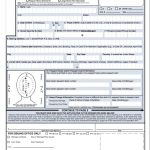 Uk Passport Renewal Application Form Pdf Canadian Instructions Step