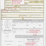 Us Passport DS 11 Form Pdf Printable Form 2022