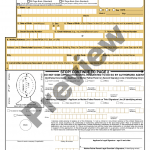 Wayne Michigan Passport Application US Legal Forms