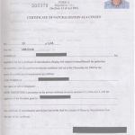 What Is Former Surname On Passport Application
