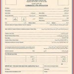 Www Ethiopian New Passport Application Format Pdf Ethiopian Passport